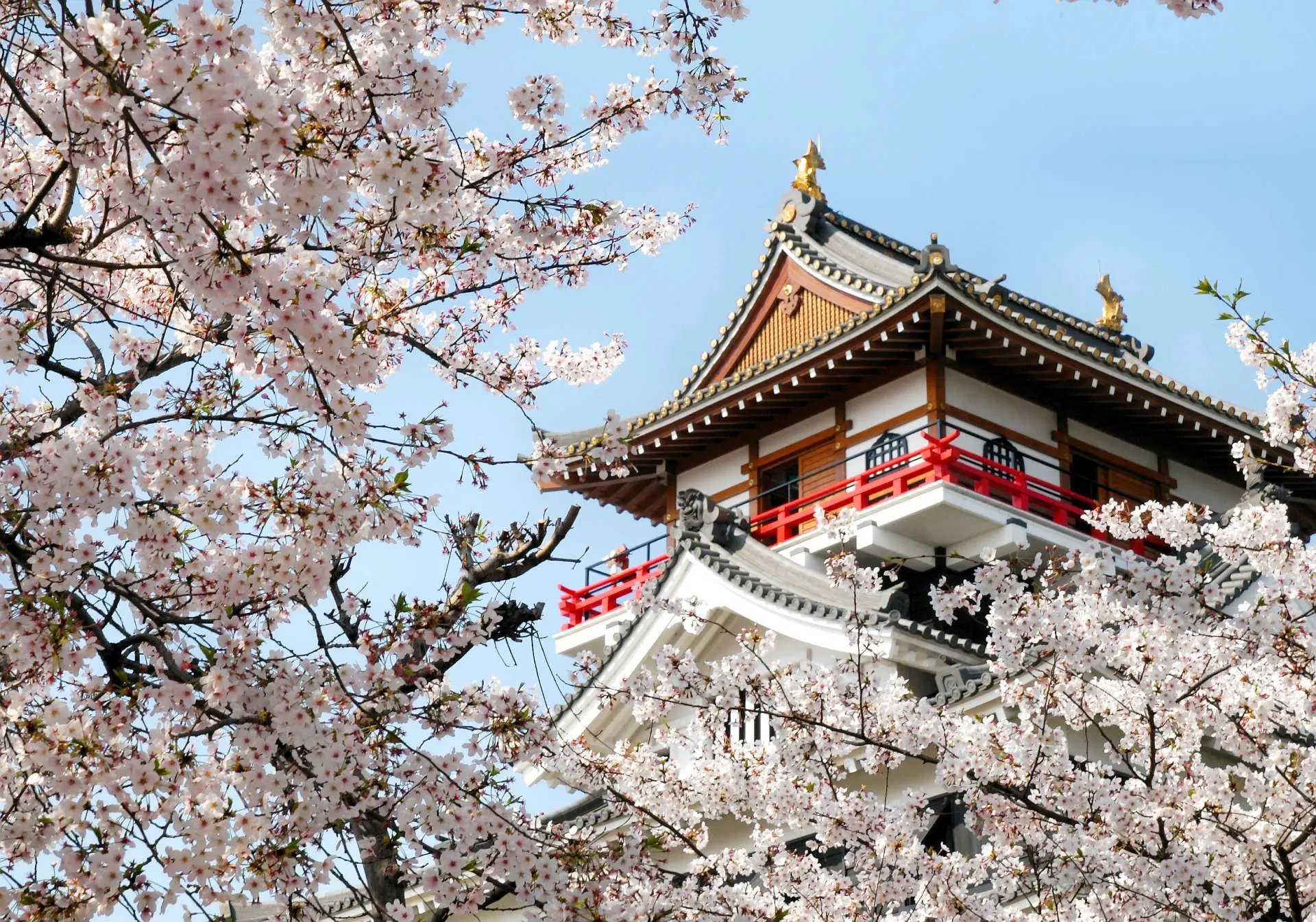 🏯 기요스 성(清洲城) 이미지 5